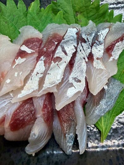 ダツ刺身写真画像