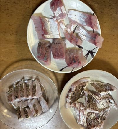 マダイの炙り刺し・ヒラマサの刺身写真画像