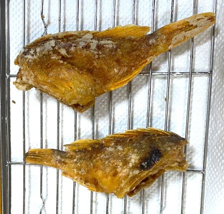 カサゴの唐揚げ写真画像