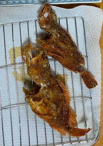 カサゴの唐揚げ写真画像