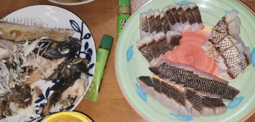 マダイとメジナの炙り、メジナの塩焼き写真画像