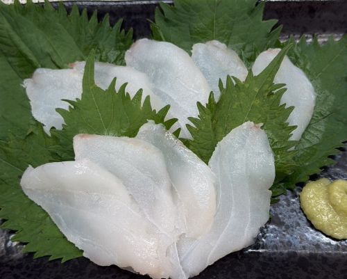 マダラの刺身写真画像