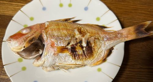 レンコダイの塩焼き写真画像