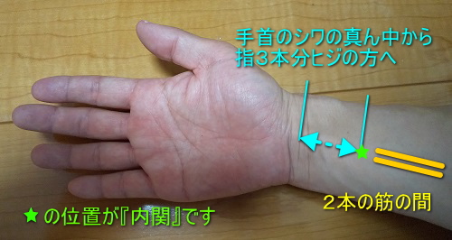 ツボ内関の位置写真画像：手首のシワの中央から指３本文ヒジ側。腕中央の２本の腱の間。