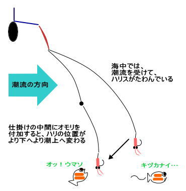 マダイ 真鯛 の重い仕掛け 軽い仕掛け 釣り船 新潟 上越 能生漁港 こうゆう丸