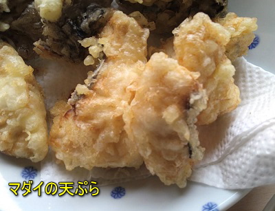真鯛の天ぷら写真画像