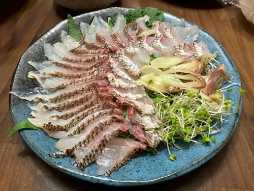 マダイの炙り刺し写真画像